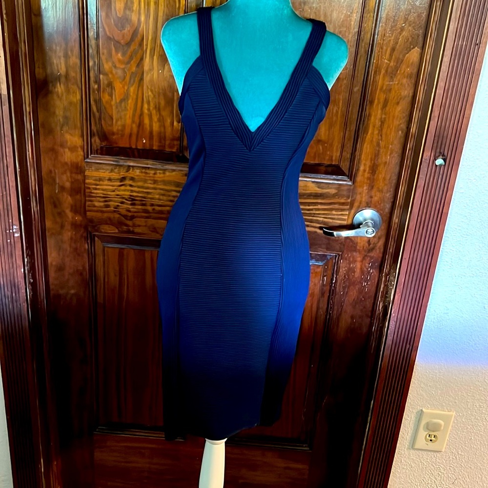 Elegant Guess dress!